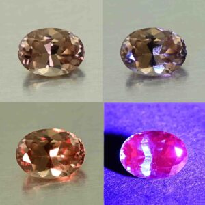 CCDragonGarnet oval 6.5x4.8mm 0.85cts N cc473 comboAll SOLD