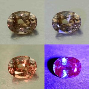 CCDragonGarnet oval 6.5x5.0mm 0.92cts N cc474 comboAll