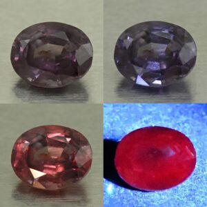CCDragonGarnet oval 6.5x5.3mm 1.09cts N cc638 comboAll