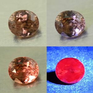 CCDragonGarnet oval 6.5x5.8mm 1.84cts N cc530 combo All