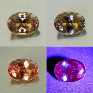 CCDragonGarnet oval 6.6x4.9mm 1.00cts N cc475 comboAll