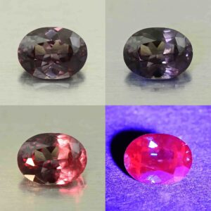 CCDragonGarnet oval 6.6x5.0mm 0.91cts N cc476 comboAll scaled 1