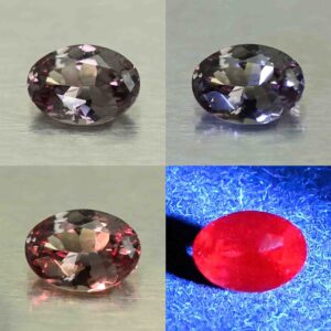 CCDragonGarnet oval 6.7x4.8mm 0.78cts N cc591 comboAll