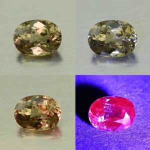 CCDragonGarnet oval 6.9x4.5mm 0.90cts N cc477 comboAll scaled 1