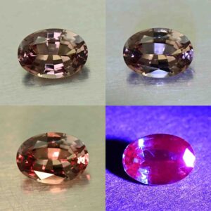 CCDragonGarnet oval 7.0x5.0mm 0.90cts N cc478 comboAll