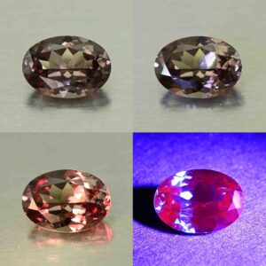 CCDragonGarnet oval 7.1x5.0mm 0.93cts N cc479 comboAll