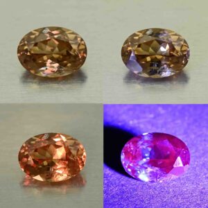 CCDragonGarnet oval 7.1x5.2mm 1.13cts N cc480 comboAll