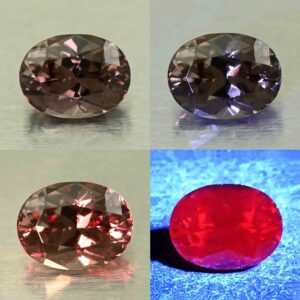 CCDragonGarnet oval 7.1x5.4mm 1.31cts N cc533 combo All