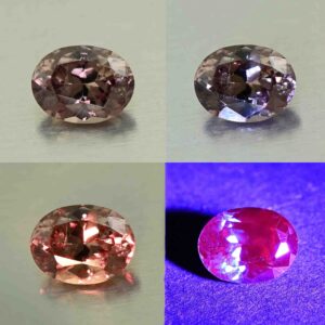 CCDragonGarnet oval 7.1x5.5mm 1.14cts N cc481 comboAll