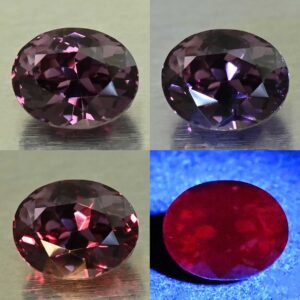 CCDragonGarnet oval 7.1x5.6mm 1.53cts N cc642 comboAll