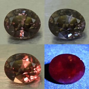 CCDragonGarnet oval 7.1x5.9mm 1.36cts N cc643 comboAll
