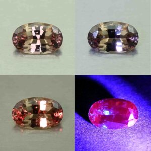CCDragonGarnet oval 7.2x4.8mm 0.92cts N cc483 comboAll