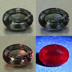 CCDragonGarnet oval 7.2x5.2mm 1.02cts N cc644 comboAll SOLD