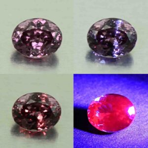 CCDragonGarnet oval 7.2x5.8mm 1.50cts N cc484 comboAll