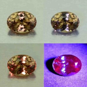 CCDragonGarnet oval 7.3x5.3mm 1.19cts N cc485 comboAll