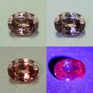 CCDragonGarnet oval 7.4x5.6mm 1.19cts N cc486 comboAll