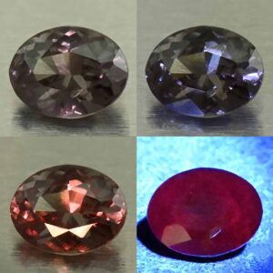 CCDragonGarnet oval 7.4x5.7mm 1.37cts N cc646 comboAll
