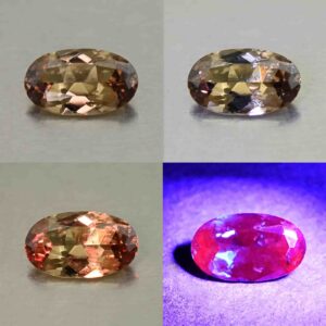 CCDragonGarnet oval 7.5x4.5mm 0.71cts N cc487 comboAll