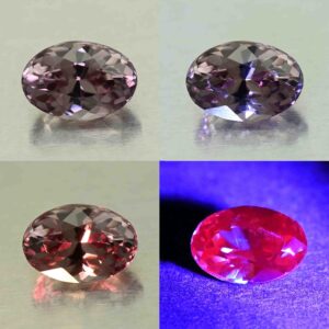 CCDragonGarnet oval 7.5x5.2mm 1.34cts N cc488 comboAll