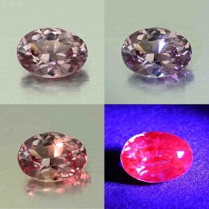 CCDragonGarnet oval 7.5x5.4mm 1.26cts N cc489 comboAll