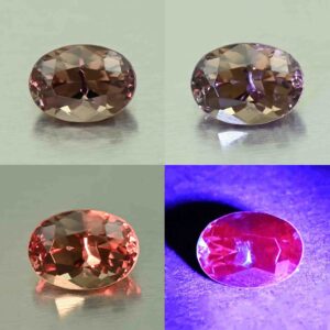 CCDragonGarnet oval 7.5x5.5mm 1.50cts N cc490 comboAll