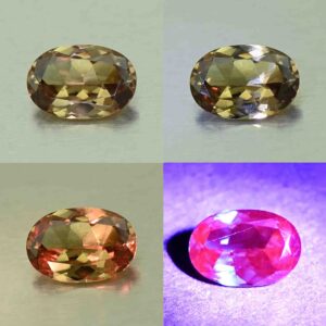 CCDragonGarnet oval 7.6x5.2mm 0.96cts N cc491 comboAll
