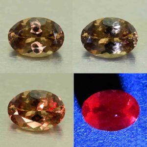 CCDragonGarnet oval 7.6x5.4mm 1.06cts N cc534 combo All
