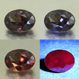CCDragonGarnet oval 7.8x5.8mm 1.69cts N cc648 comboAll