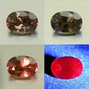 CCDragonGarnet oval 8.1x6.0mm 1.56cts N cc601 comboAll scaled 1