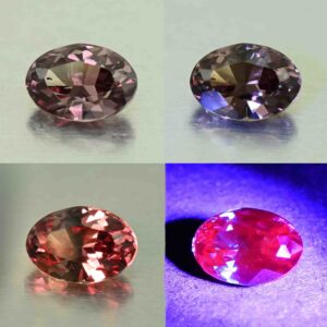 CCDragonGarnet oval 8.3x5.8mm 1.78cts N cc494 comboAll scaled 1