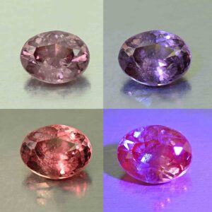 CCDragonGarnet oval 8.3x6.5mm 1.96cts N cc438 comboALL