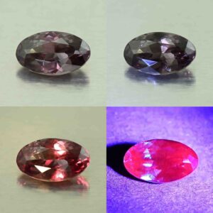 CCDragonGarnet oval 8.6x5.1mm 1.37cts N cc495 comboAll scaled 1