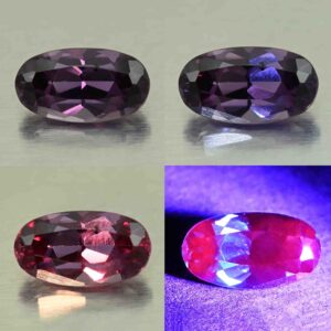 CCDragonGarnet oval 9.1x5.0mm 1.67cts N cc582 combo All