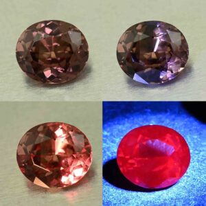 CCDragonGarnet oval 9.3x8.3mm 2.89cts N cc537 combo All scaled 1