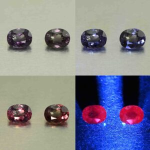 CCDragonGarnet oval pair 6.9x5.5mm 2.38cts N cc614 comboAll scaled 1