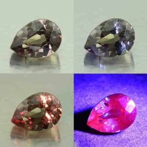 CCDragonGarnet pear 6.6x4.7mm 1.09cts N cc497 comboAll