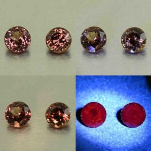 CCDragonGarnet round pair 6.4mm 2.70cts N cc624 comboAll scaled 1