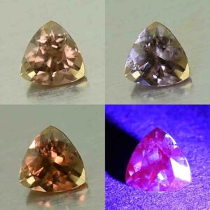 CCDragonGarnet trill 5.0mm 0.56cts N cc510 comboAll