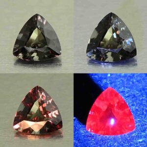 CCDragonGarnet trill 6.0mm 0.74cts N cc590 comboAll SOLD