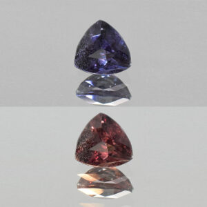 CCGarnet trillion 7.9x7.4mm 2.23cts N combo cc195 crop SOLD