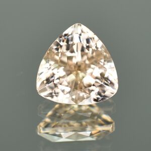 ChampagneZircon_trillion_10.9mm_6.70cts_N_zn2393.jpg