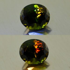 ChromeTourmaline Usambara oval 10.9x9.5mm 4.13cts ct237 combo 1