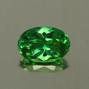 ChromeTourmaline oval 8.2x5.6mm 1.17cts N ct261