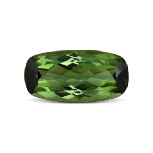 GreenTourmaline cush 20.0x10.1mm 11.94cts H tm164 sh