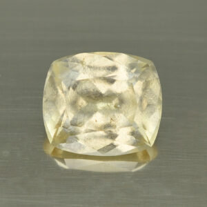 GrossularGarnet cush 12.5x11.0mm 7.20cts N gg144