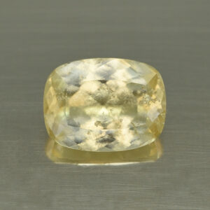 GrossularGarnet cushion 12.5x9.7mm 5.87cts N gg145
