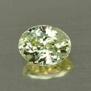 GrossularGarnet oval 7.8x6.0mm 1.67cts N gg149