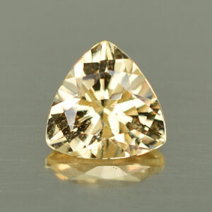 GrossularGarnet trill 6.0mm 0.79cts N gg134