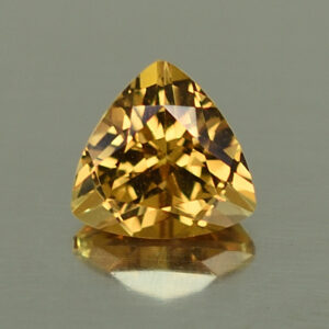 GrossularGarnet trill 6.1mm 0.99cts N gg121