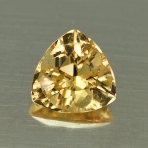 GrossularGarnet trill 7.1mm 1.40cts N gg122